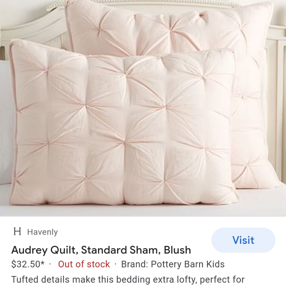 COPY - BNWT Pottery Barn Kids Audrey Quilted Sham Standard Size